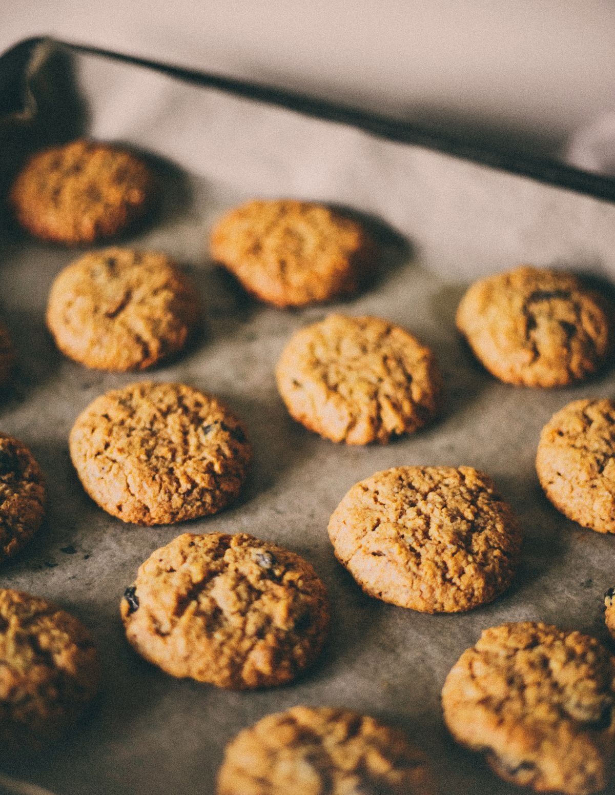 Rows of golden cookies cooling on a parchment-lined baking tray